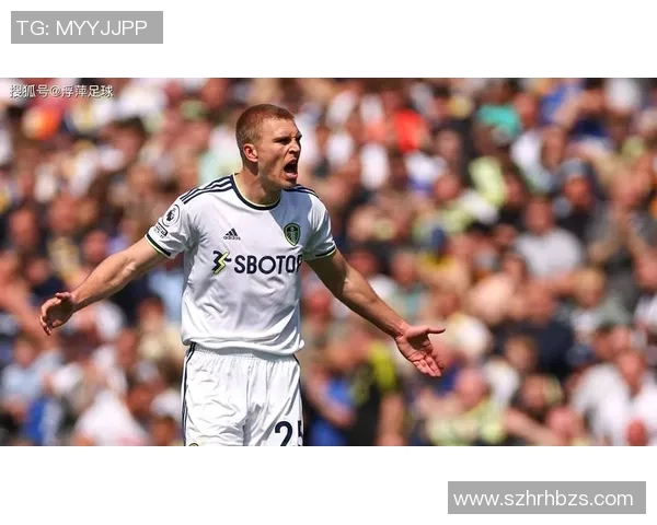 英超桑德兰对利兹联：黑猫伤病阴云笼罩，白玫瑰能否抓住争分良机？